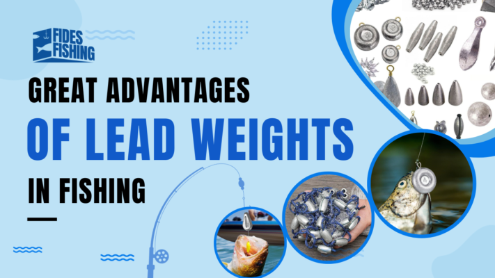 Great Advantages of Lead Weights in Fishing - Fides Fishing