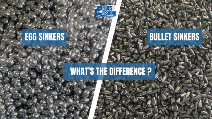 Egg Sinkers vs. Bullet Sinkers What’s the Difference